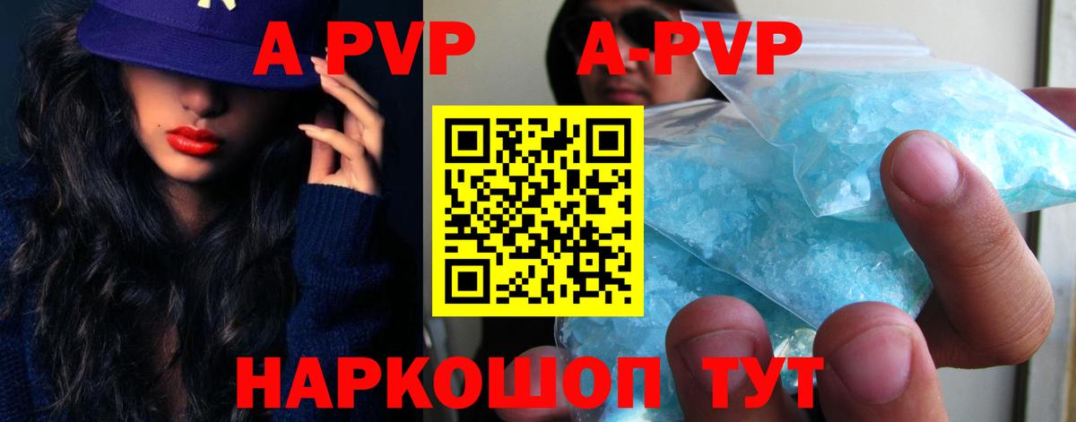 Alfa_PVP СК КРИС Горно-Алтайск
