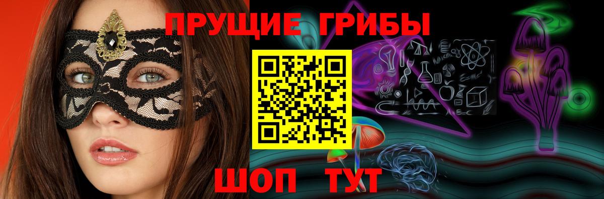 купить закладку  Псилоцибиновые грибы ЛСД  Вход с VPN  Горно-Алтайск 